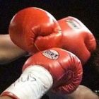 boxing_gloves_2.jpg